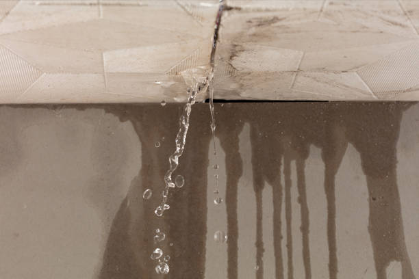 Professional Water Damage Repair technician working in Albion, WA